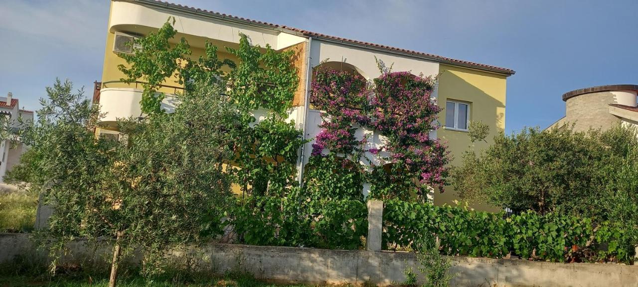 Apartmani Vranjkovic 沃迪切 外观 照片
