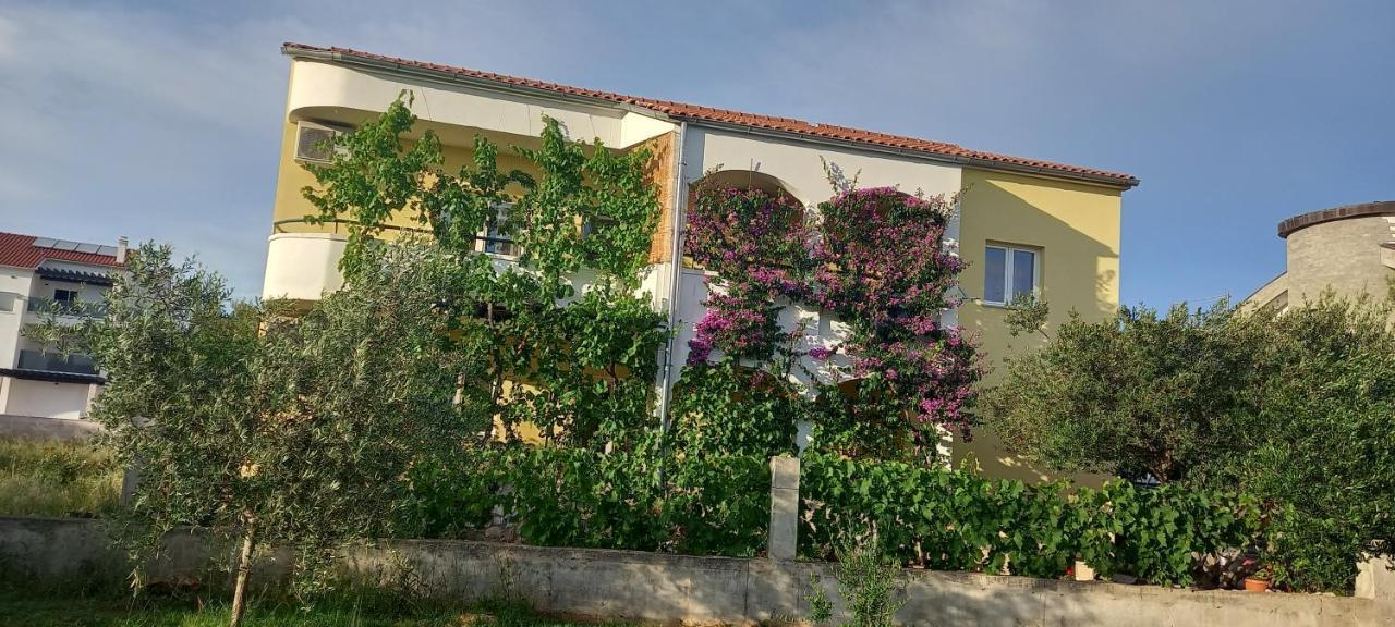 Apartmani Vranjkovic 沃迪切 外观 照片